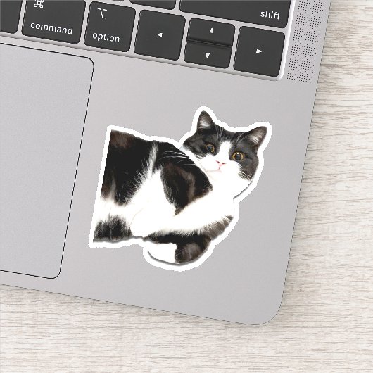 マンチェスター「こんにちは！」 シール (詳細)