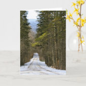 マンチェスター、VT カード (黄色い花)