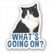 マンチェスターWhatsGoingOnステッカー シール (正面)
