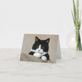 マンチェス素晴らしター·チークス·カード カード