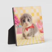 マンチキンキッテン フォトプラーク (正面)