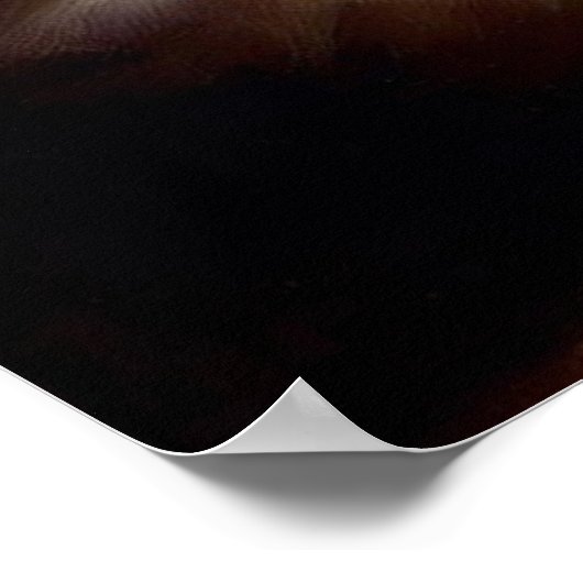 マンチキン猫 ポスター (角)