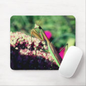 マンチ祈ス自然 マウスパッド (マウス)