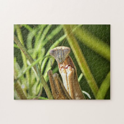 マンチ祈ス ジグソーパズル (横)