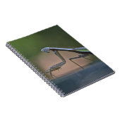 マンチ祈ス ノートブック (右側)