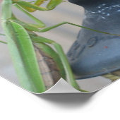 マンチ祈ス ポスター (角)