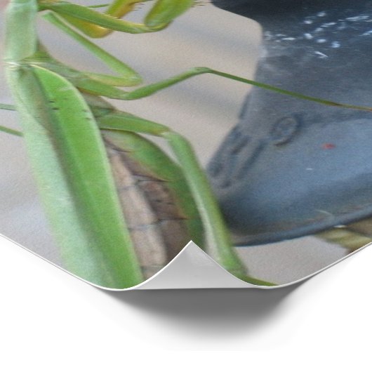 マンチ祈ス ポスター (角)