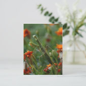 マンチ祈ス ポストカード (スタンド正面)