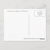 マンチ祈ス ポストカード (裏面)