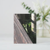 マンチ祈ス ポストカード (スタンド正面)