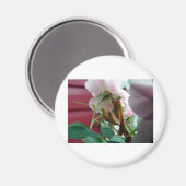 マンチ祈ス マグネット (正面/裏面)