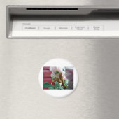 マンチ祈ス マグネット (インサイチュ (食洗機))