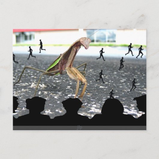 マンティス祈の復讐 ポストカード (正面)