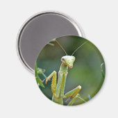 マンティス475磁石 マグネット (正面/裏面)