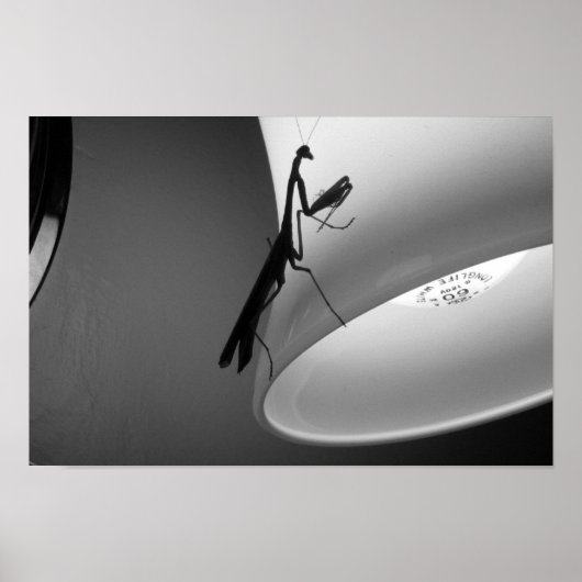 マンティス ポスター (正面)