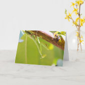 マンティ祈スのグリーティングカード カード (黄色い花)