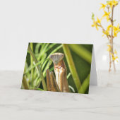 マンティ祈ス カード (黄色い花)