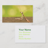 マンティ祈ス 名刺 (正面/裏面)