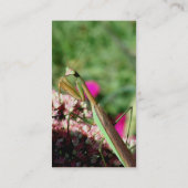 マンティ祈ス・自然撮影名刺 名刺 (裏面)