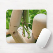 マンテ祈ィスぶら下がったダウン マウスパッド (マウス)