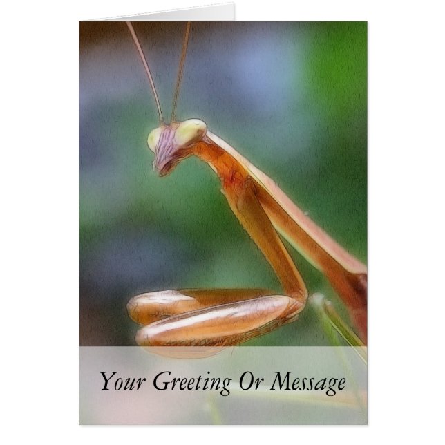 マンテ祈ィス (正面)