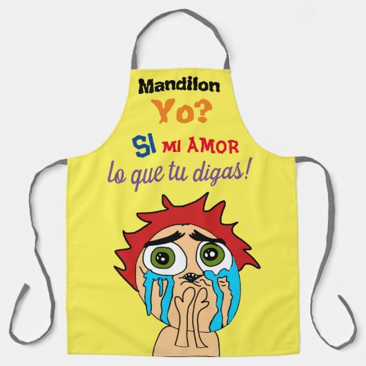 マンディロンか？ エプロン (正面)