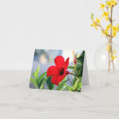 マンデビラ カード (黄色い花)