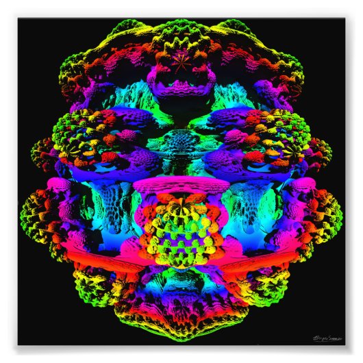 マンデルバルブ1プリント フォトプリント            (正面)