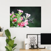 マンデヴィラのハミングバード ポスター (ホームオフィス)