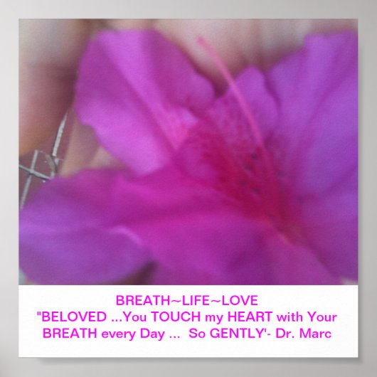 マントラ ポスター (正面)