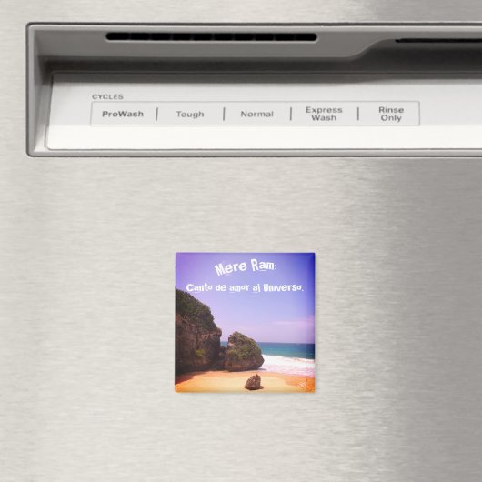 マントラ マグネット (インサイチュ (食洗機))