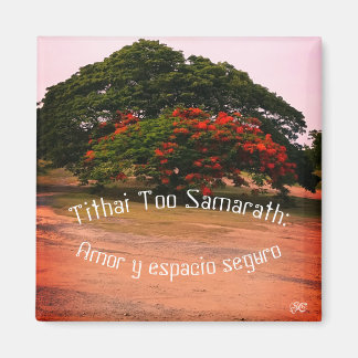 マントラ マグネット