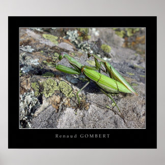 マントレリージュース ポスター