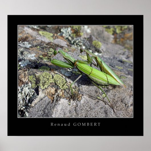 マントレリージュース ポスター (正面)