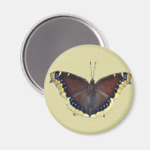 マント蝶の喪に服す – Nymphalis antiopa マグネット (正面/裏面)