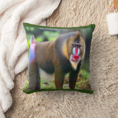 マンドリルバブーン クッション