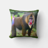 マンドリルバブーン クッション (正面)