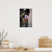 マンドリルヘッド ポスター (キッチン)