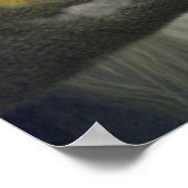 マンドリルヘッド ポスター (角)