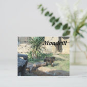 マンドリル ポストカード (スタンド正面)