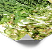 マンドリンとアイリスフラワーガーデン ポスター (角)