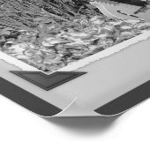 マンドリンアイリスガーデンブラックとホワイトスナップショット ポスター (角)