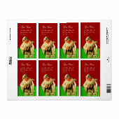 マンドリン赤い緑の白とプルチーネラ ラベル (フルシート)