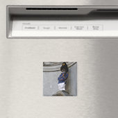 マンネケンピス マグネット (インサイチュ (食洗機))