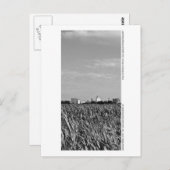 マンハイム – スカイライン ポストカード (正面/裏面)