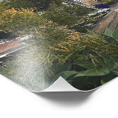 マンハッタンビーチ，カリフォルニア写真 フォトプリント            (角)