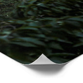 マンハッタン建物ビュー ポスター (角)