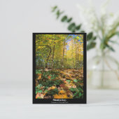 マンハッタン秋のセントラルパークハガキ ポストカード (スタンド正面)