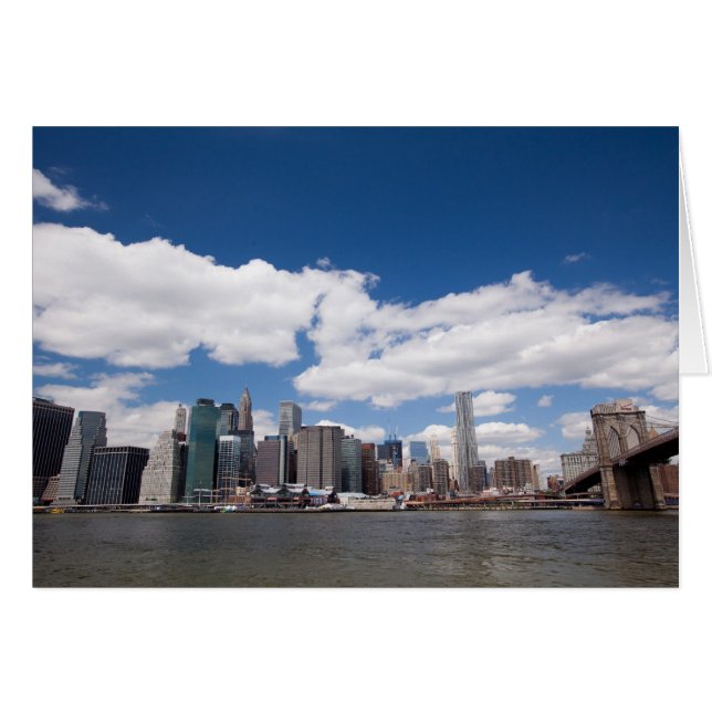 マンハッタンDUMBO眺め (正面横)