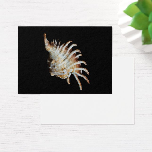 マンベダランビシェルスパイダー (デスク)